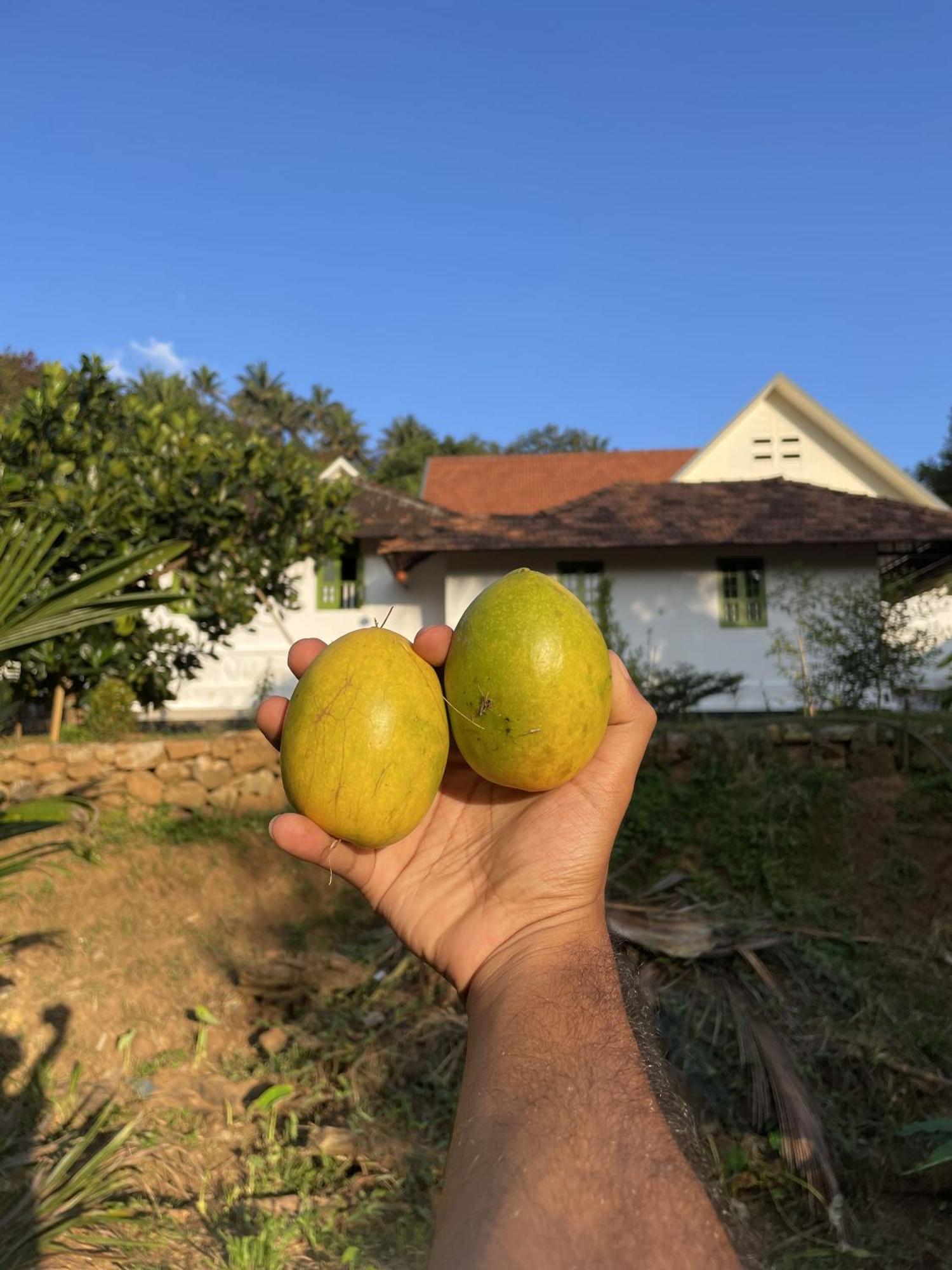 Calm Shack - 2 Bedroom-Boutique Farm Stay Munnar Ngoại thất bức ảnh