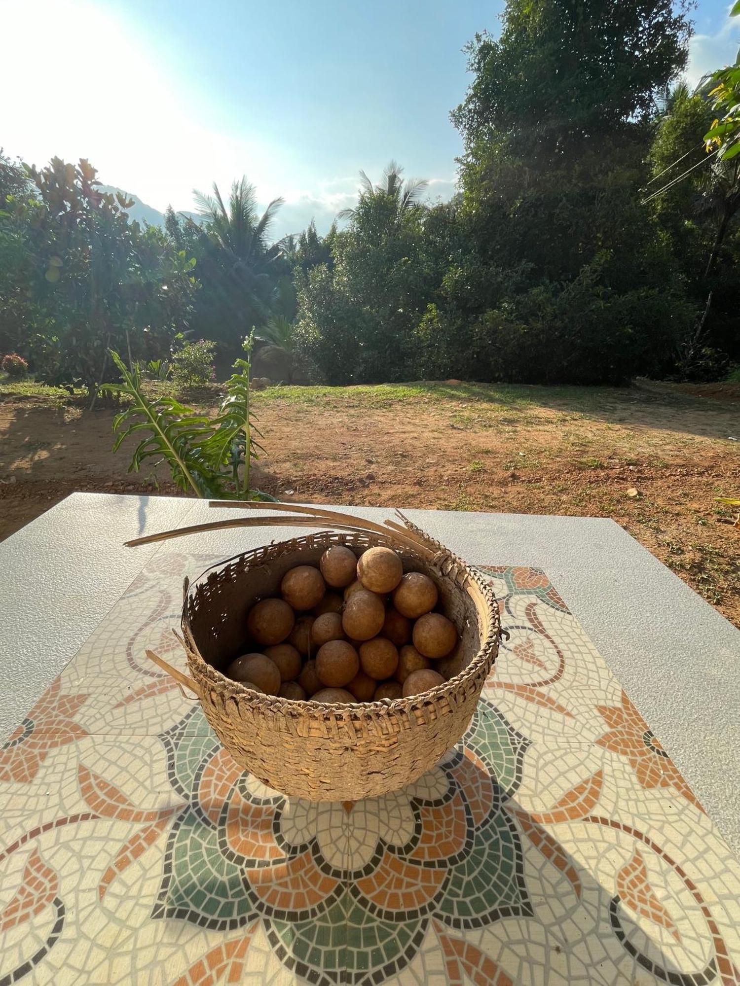 Calm Shack - 2 Bedroom-Boutique Farm Stay Munnar Ngoại thất bức ảnh