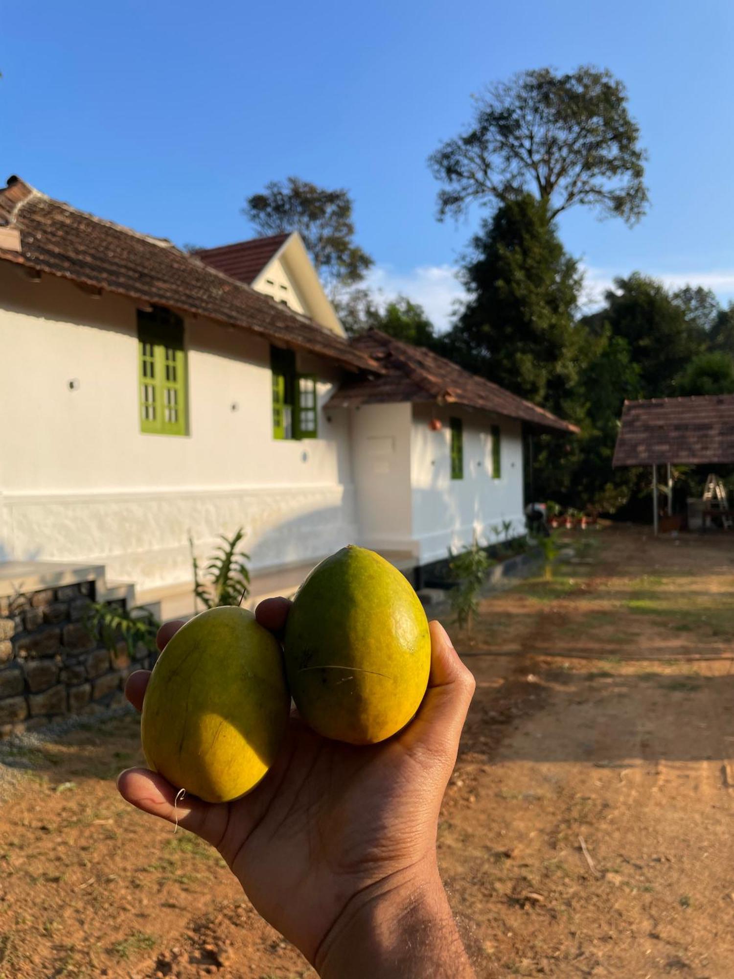Calm Shack - 2 Bedroom-Boutique Farm Stay Munnar Ngoại thất bức ảnh