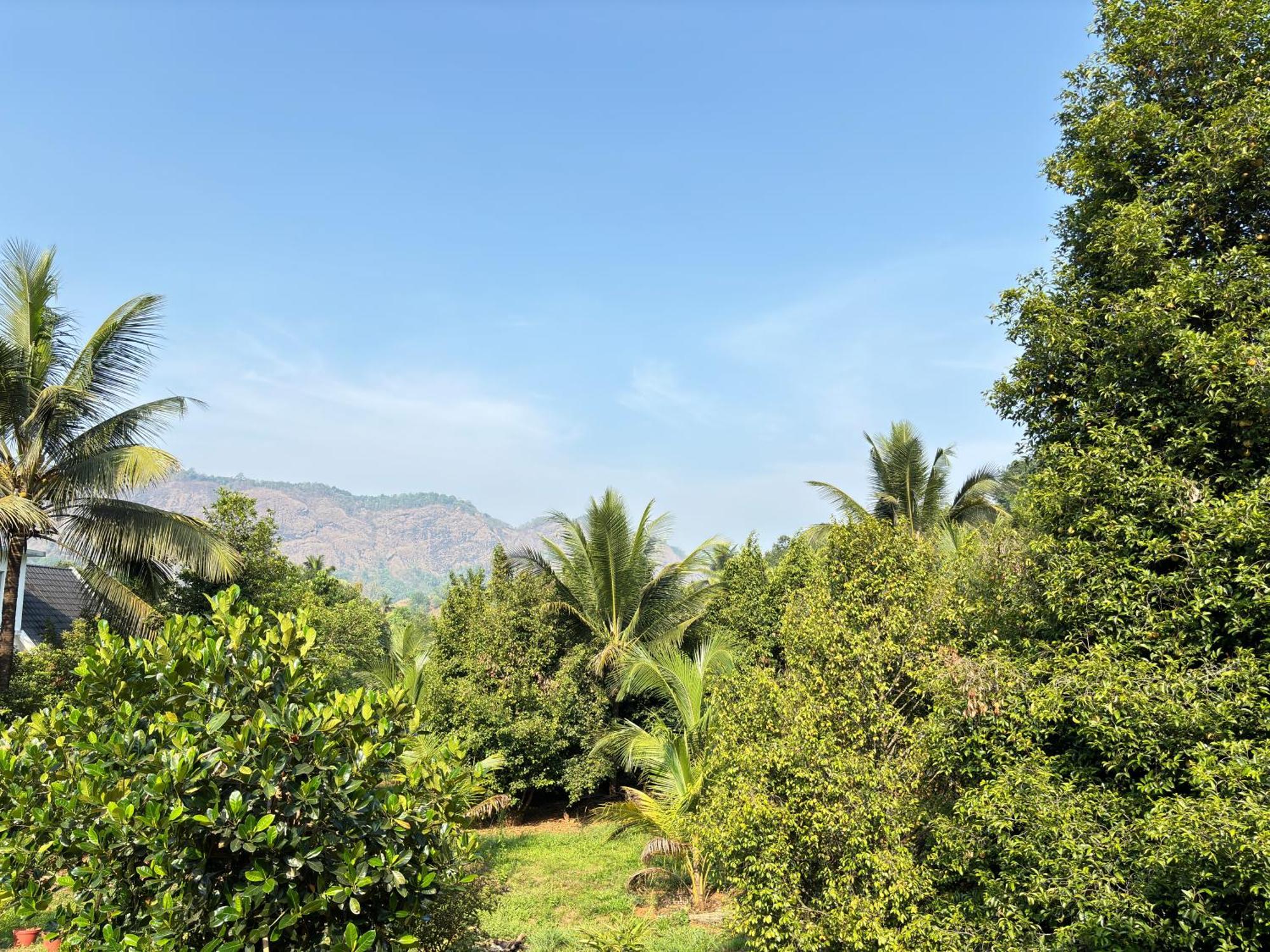 Calm Shack - 2 Bedroom-Boutique Farm Stay Munnar Ngoại thất bức ảnh